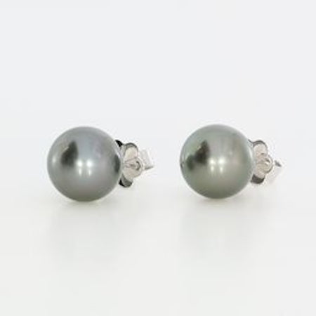 Autore 18K White Gold Tahitian Pearl Studs